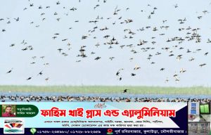 এশিয়ার বৃহত্তম হাকালুকি হাওরে বেড়েছে পাখির সংখ্যা